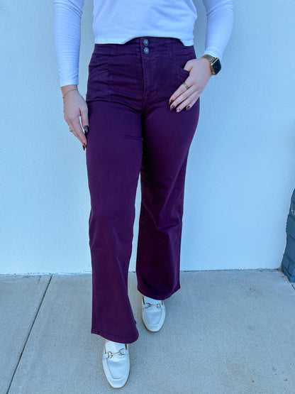 Sophie Mica Denim