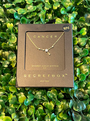 Secret Box Zodiac Necklaces